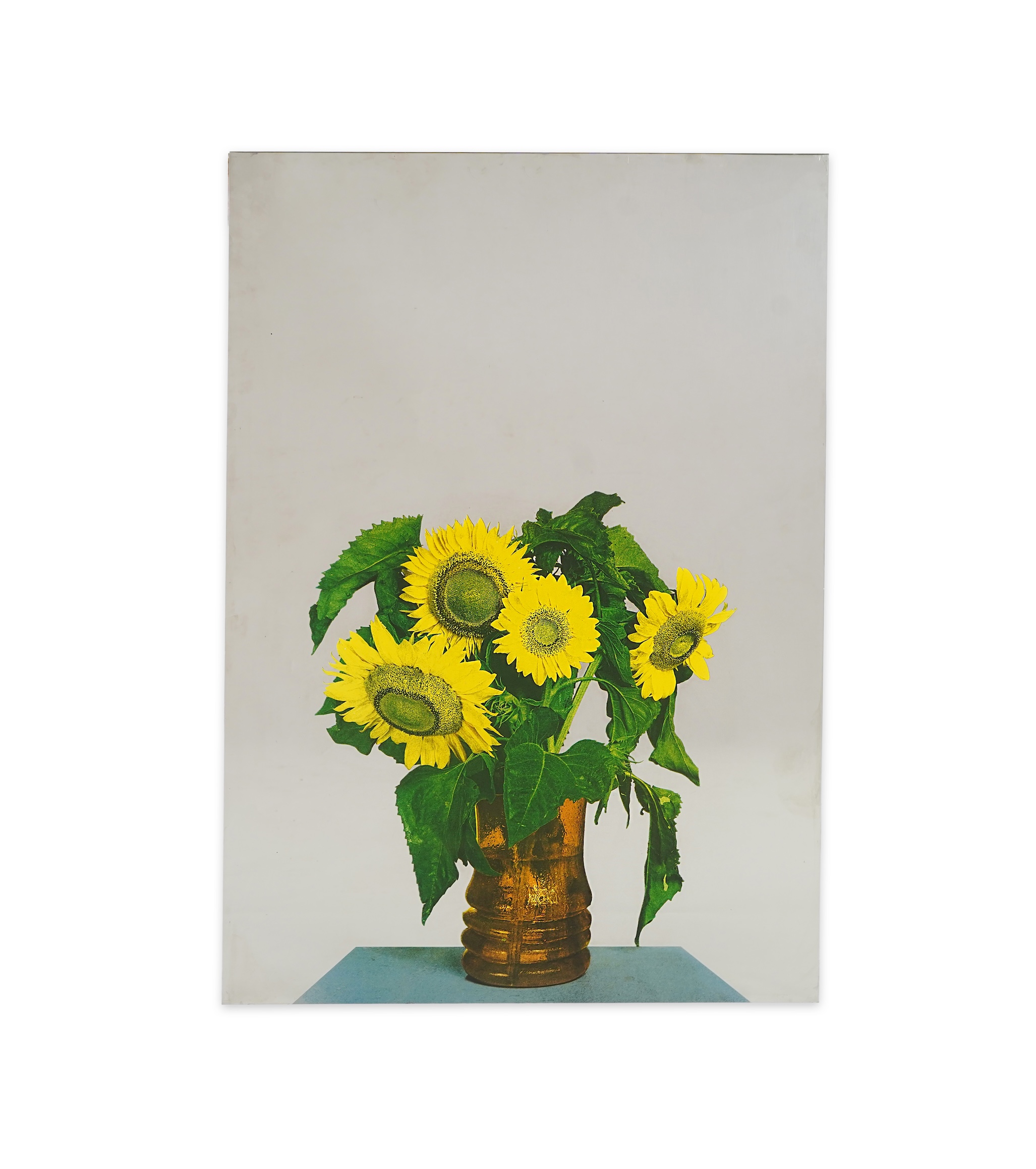 Michelangelo Pistoletto, Italian b. 1933, 'Girasoli (Sunflowers)'